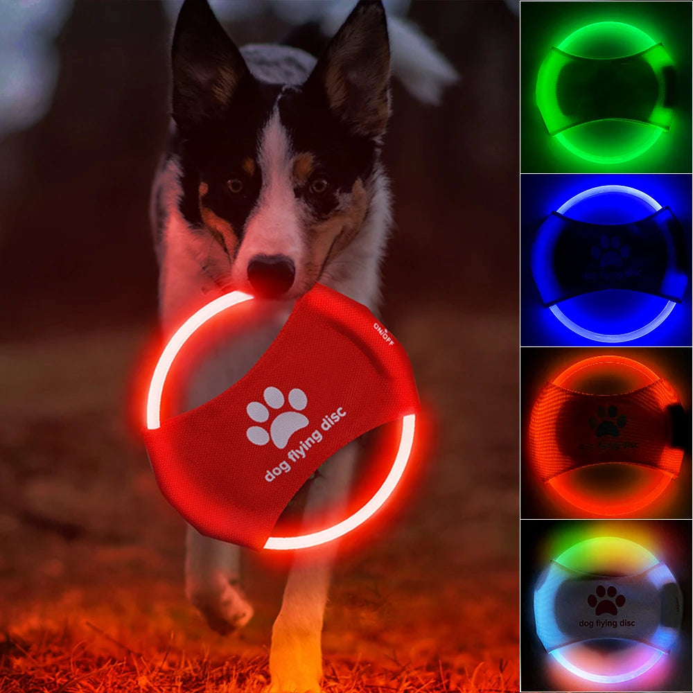 Fliegende LED Scheibe für interaktives Hundetraining - Kameradenbuch.de